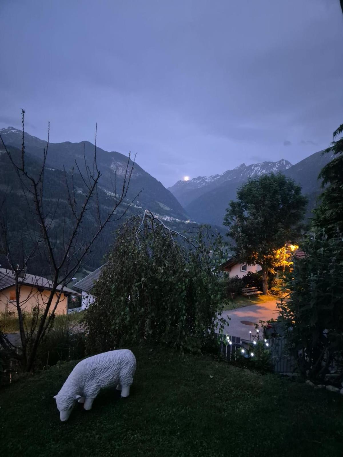Ferienwohnung Witting Wenns Exteriér fotografie